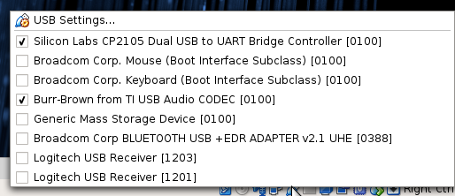 VirtualBox USB connections